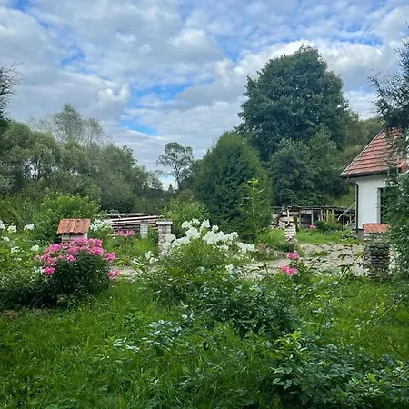 Eliksir * Skhidnytsia